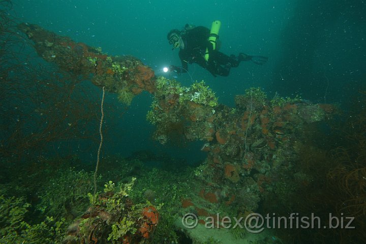 Kensho_Maru-061.JPG - Bow gun