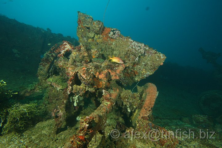 Nippo_Maru-164.JPG - Artillery Gun