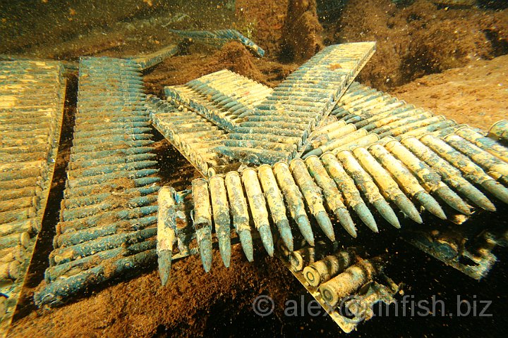 Sankisan_Maru-026.JPG - Machine Gun Bullets