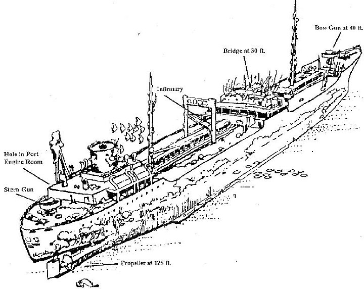 shinkoku.jpg - Sketch of the Shinkoku Maru as she rests on the seabed