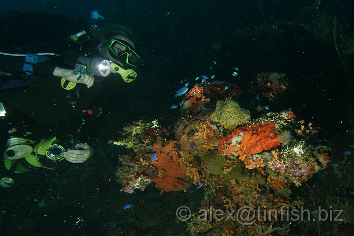 Yamagiri_Maru-025.JPG