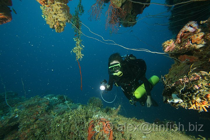 Yamagiri_Maru-053.JPG