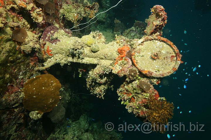 Yamagiri_Maru-277.JPG