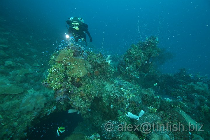 Yamagiri_Maru-298.JPG