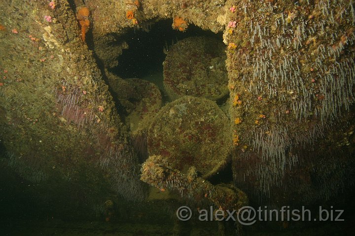 Tokai_Maru-045.JPG - Tokai Maru - Depth Charges in Forward Hold