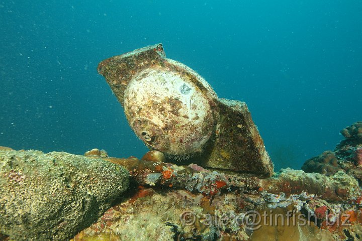 Helmet_Wreck-068.JPG - Helmet Wreck - Porcelain Crest