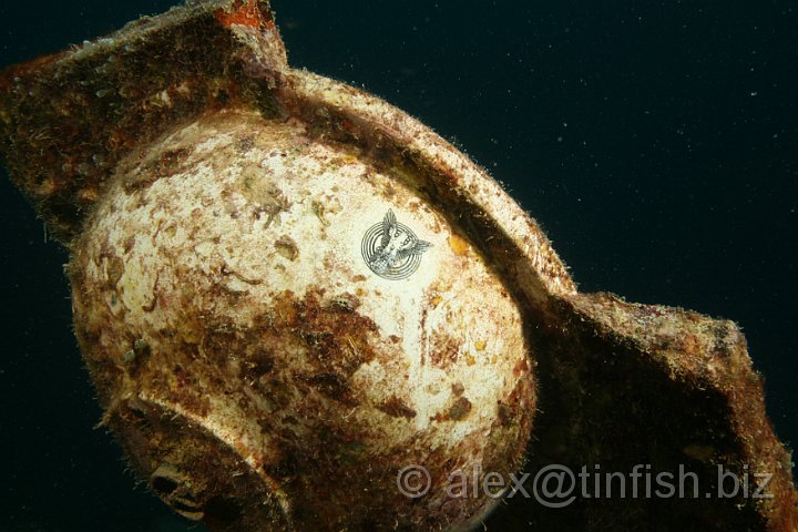 Helmet_Wreck-073.JPG - Helmet Wreck - Porcelain Crest