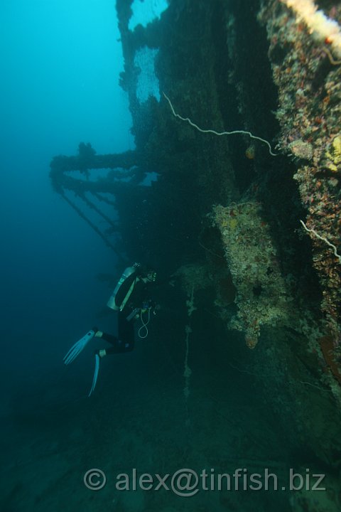 Coastal_Freighter-070.JPG - Raizan Maru - Maz swims along the deck