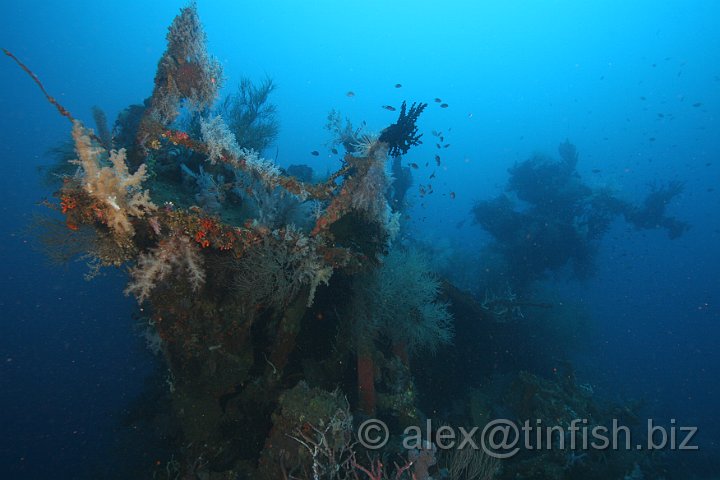 Azumasan_Maru-53.JPG - The bow with single gun