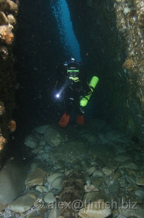 South_West_Rocks_Feb10-581.JPG - Maz enters the tunnel and passes over the keeper who watches over the entrance!