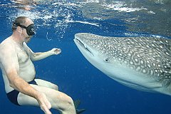 Whale_Shark-183