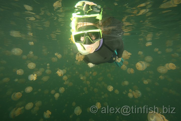 Jellyfish_Lake-171.JPG - Jellyfish Lake