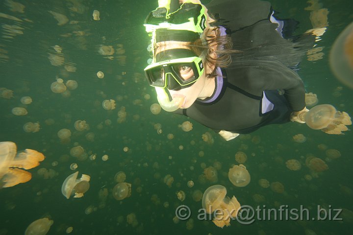 Jellyfish_Lake-177.JPG - Jellyfish Lake