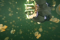 Jellyfish_Lake-177