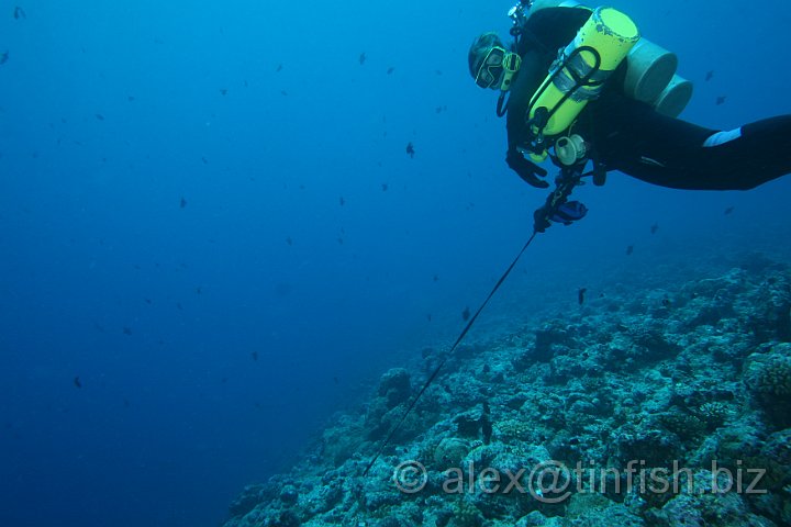 Blue_Corner-179.JPG - Maz Hanging About on Reef Hook