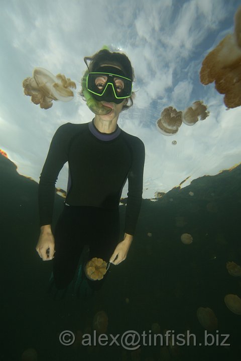 Jellyfish_Lake-103.JPG - Jellyfish Lake