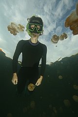 Jellyfish_Lake-103