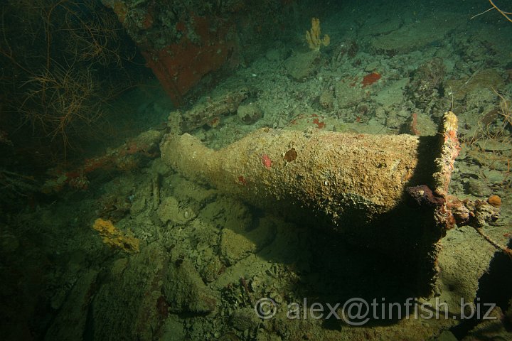 Ryuko_Maru-060.JPG - Ryuko Maru - Anti-Aircraft Gun