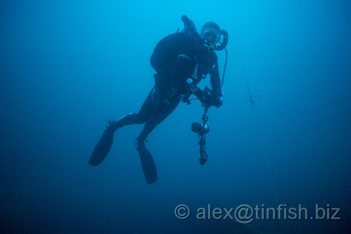 diver.jpg - Just floating about