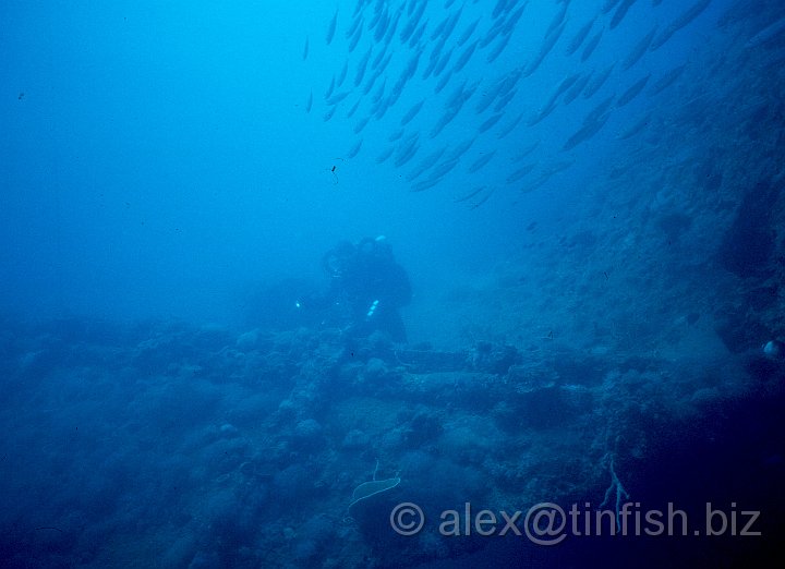 Wreck.jpg - Divers swimming around the Gunboat