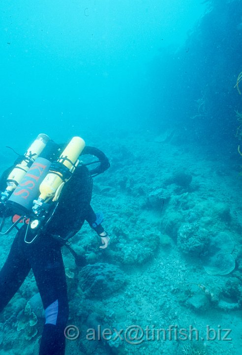 Wreck2.jpg - Divers swimming around the Gunboat